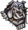 Bulldogs